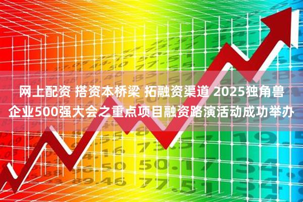 网上配资 搭资本桥梁 拓融资渠道 2025独角兽企业500强大会之重点项目融资路演活动成功举办